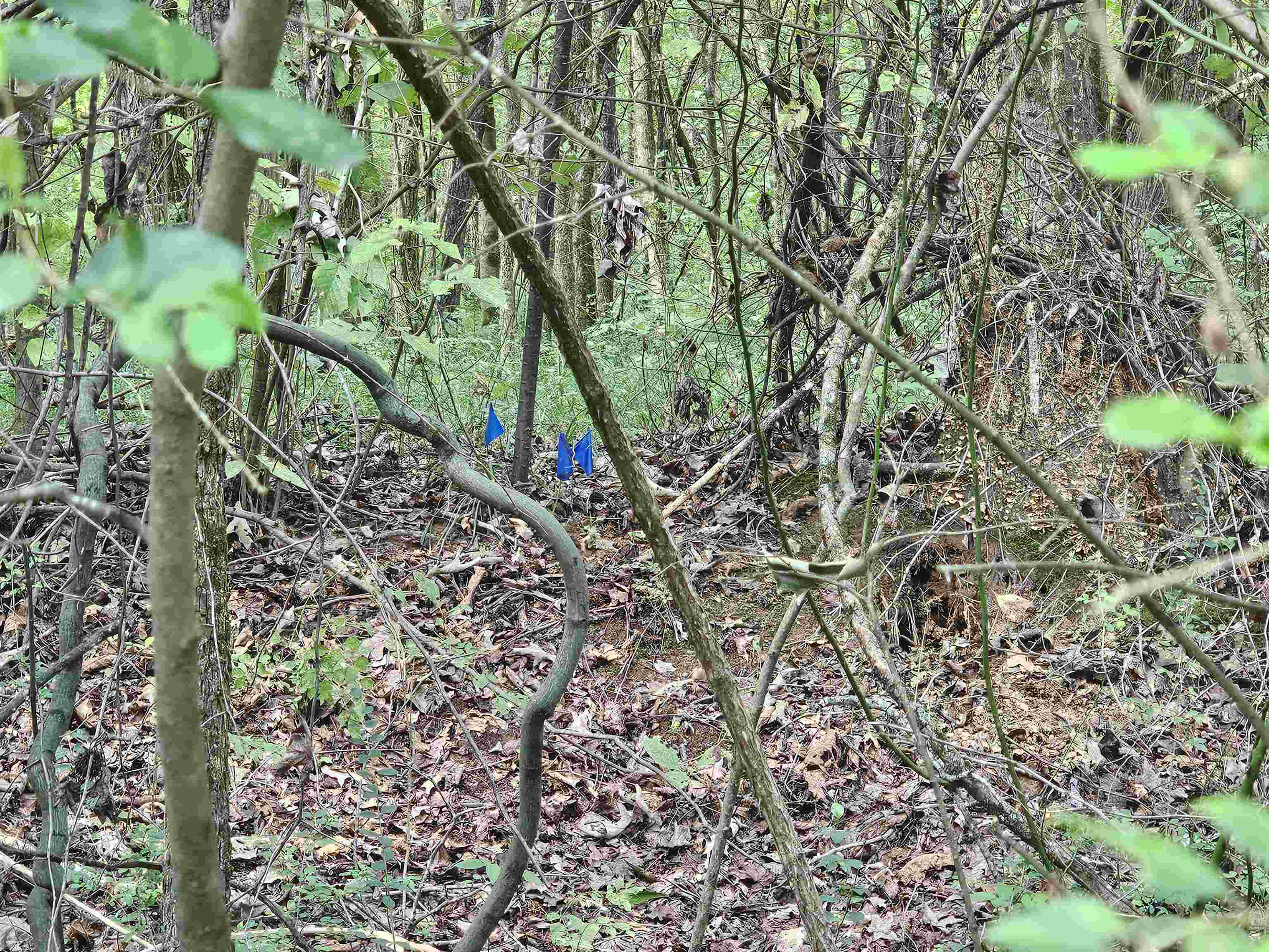 3004 RUSSELL BOND (LAND ONLY) RD