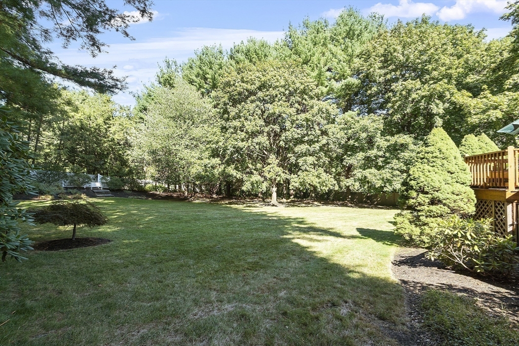 25 Algonquin Avenue