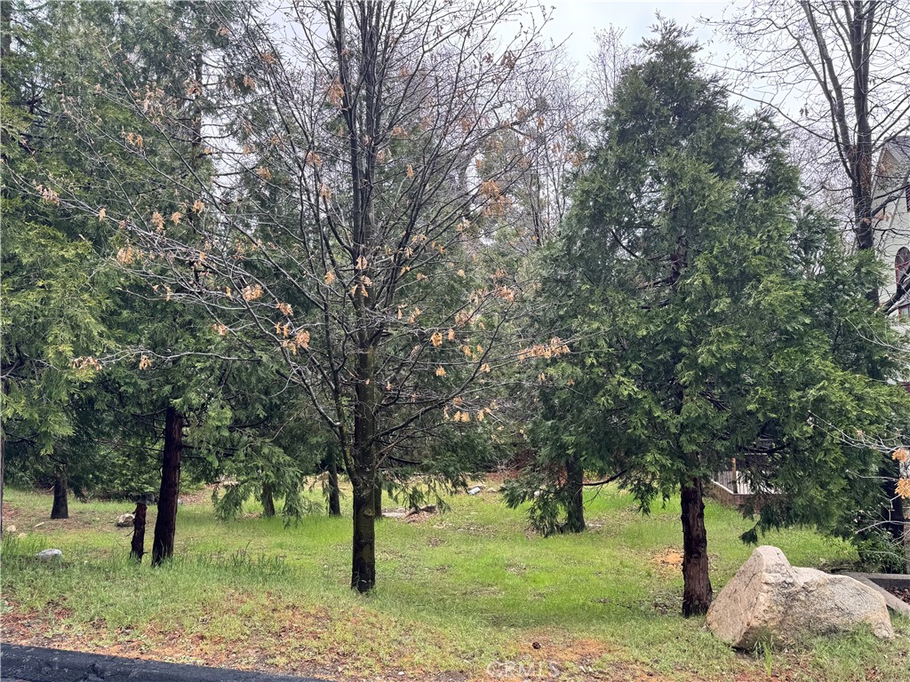 27525 Meadow Bay Drive