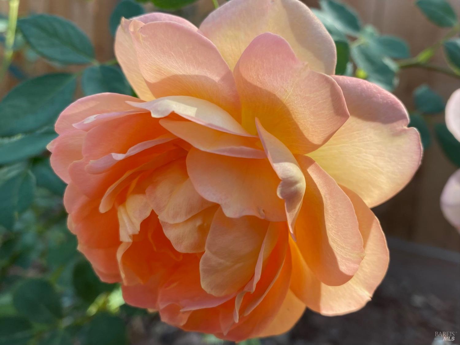 2725 Las Gallinas Ave