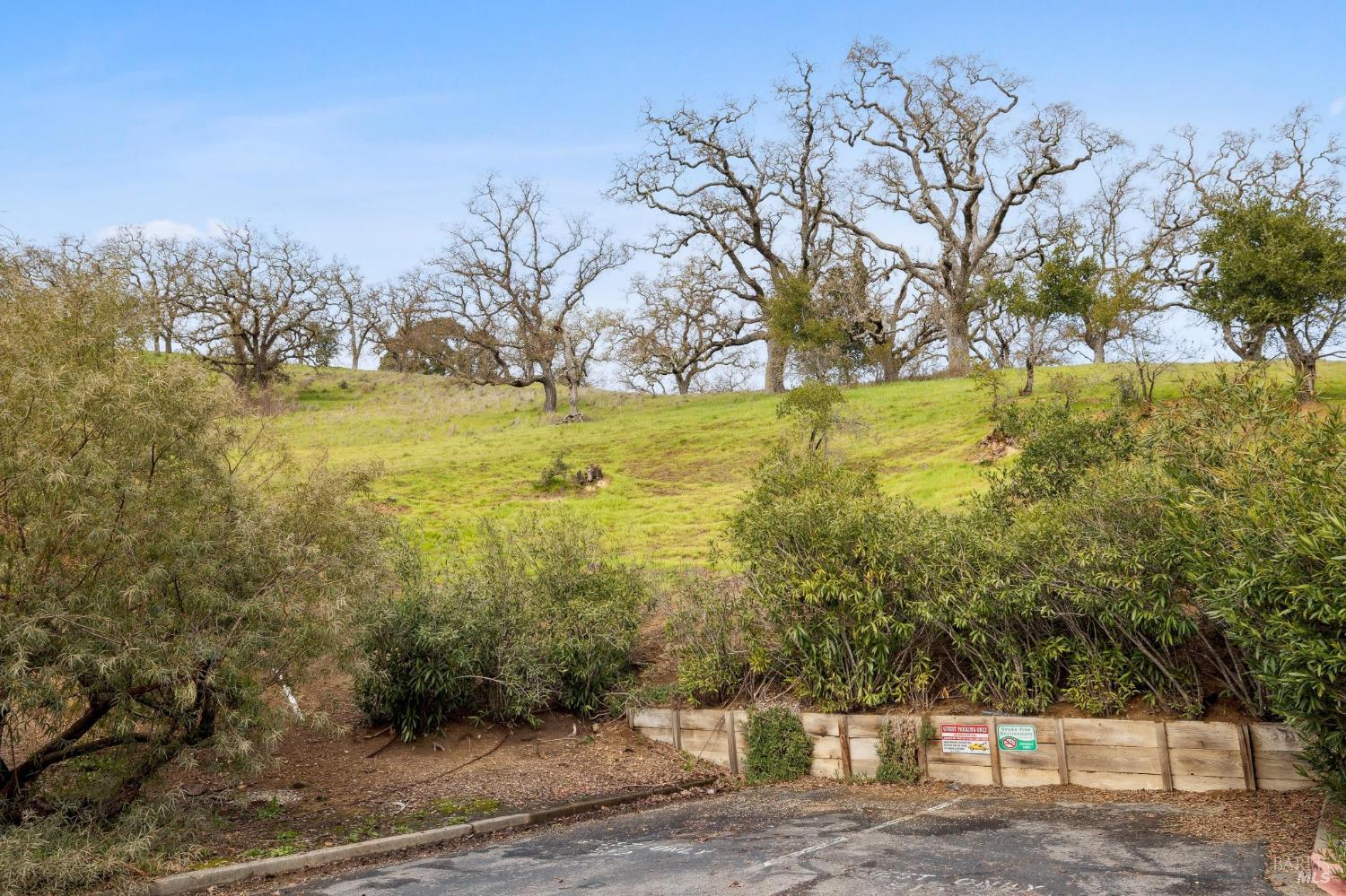305 Silvio Ln