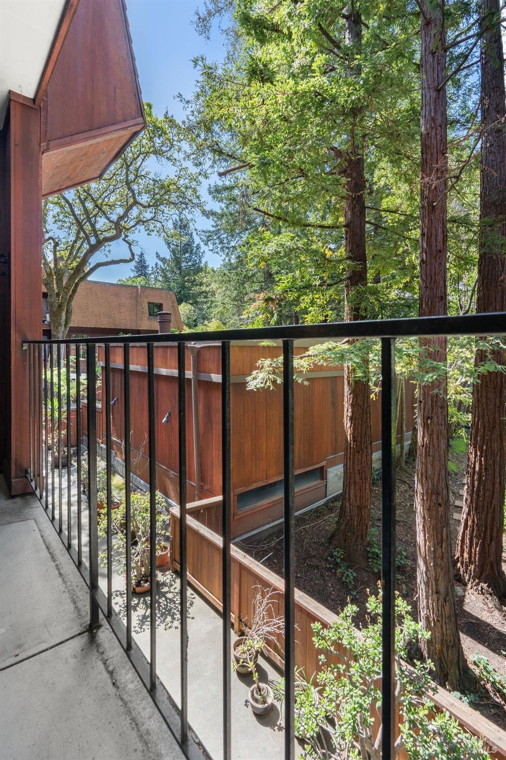 1579 Lincoln Ave #211