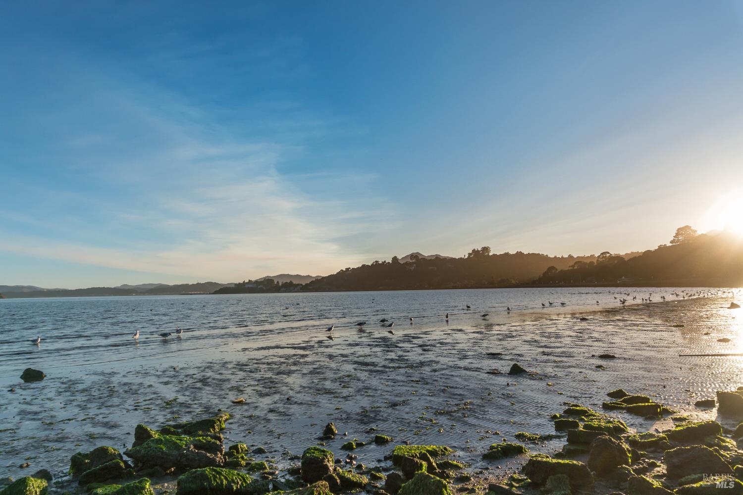 16 Marin Bay Park Ct