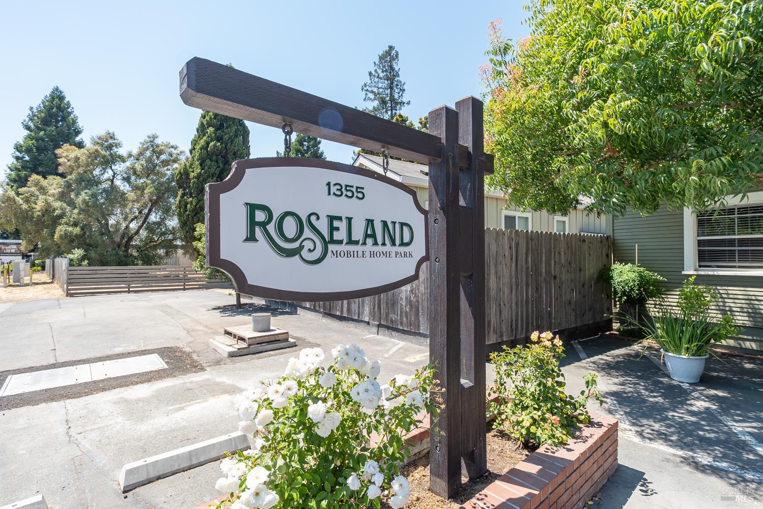 61 Romani Ct