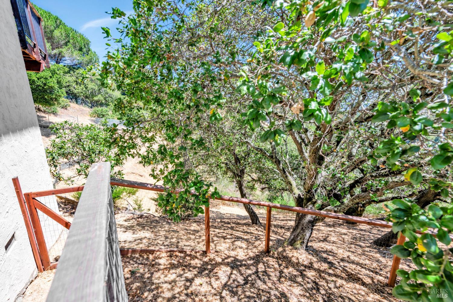 155 Dominican Dr