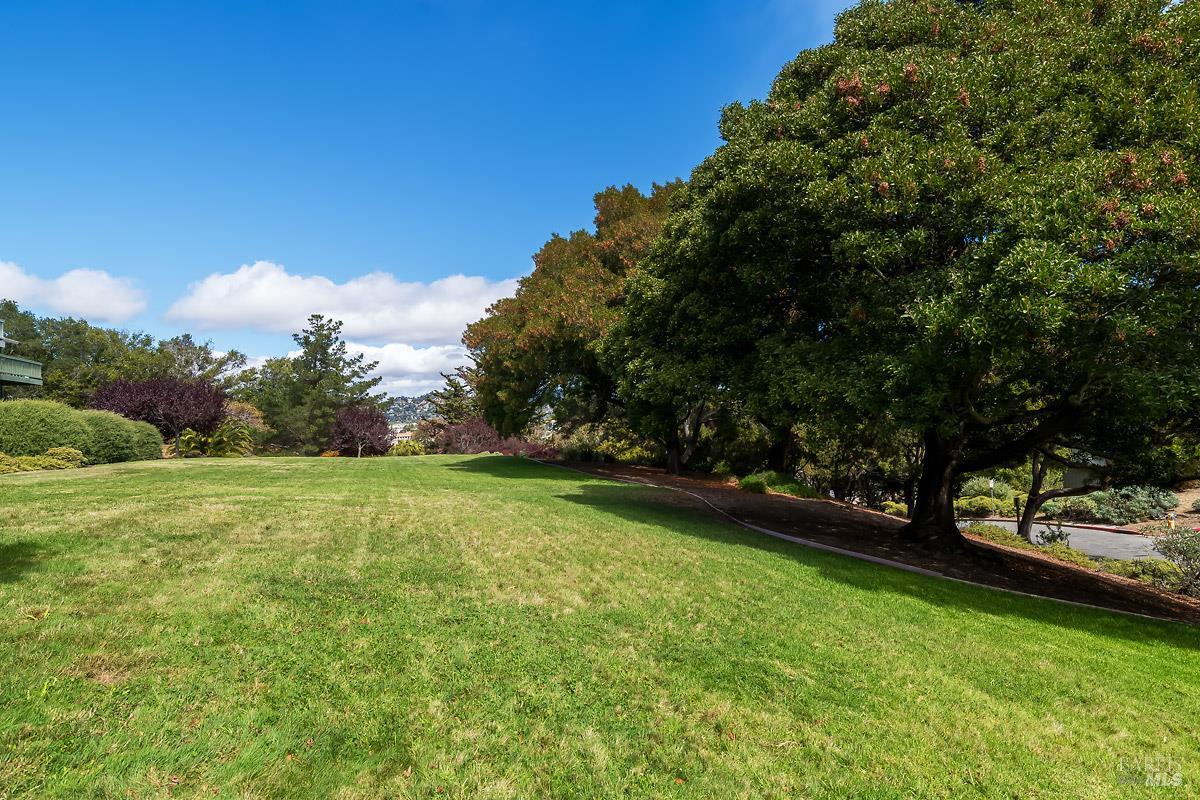30 Toyon Ct