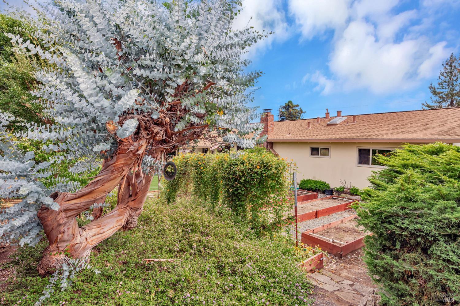 12 Devonshire Dr