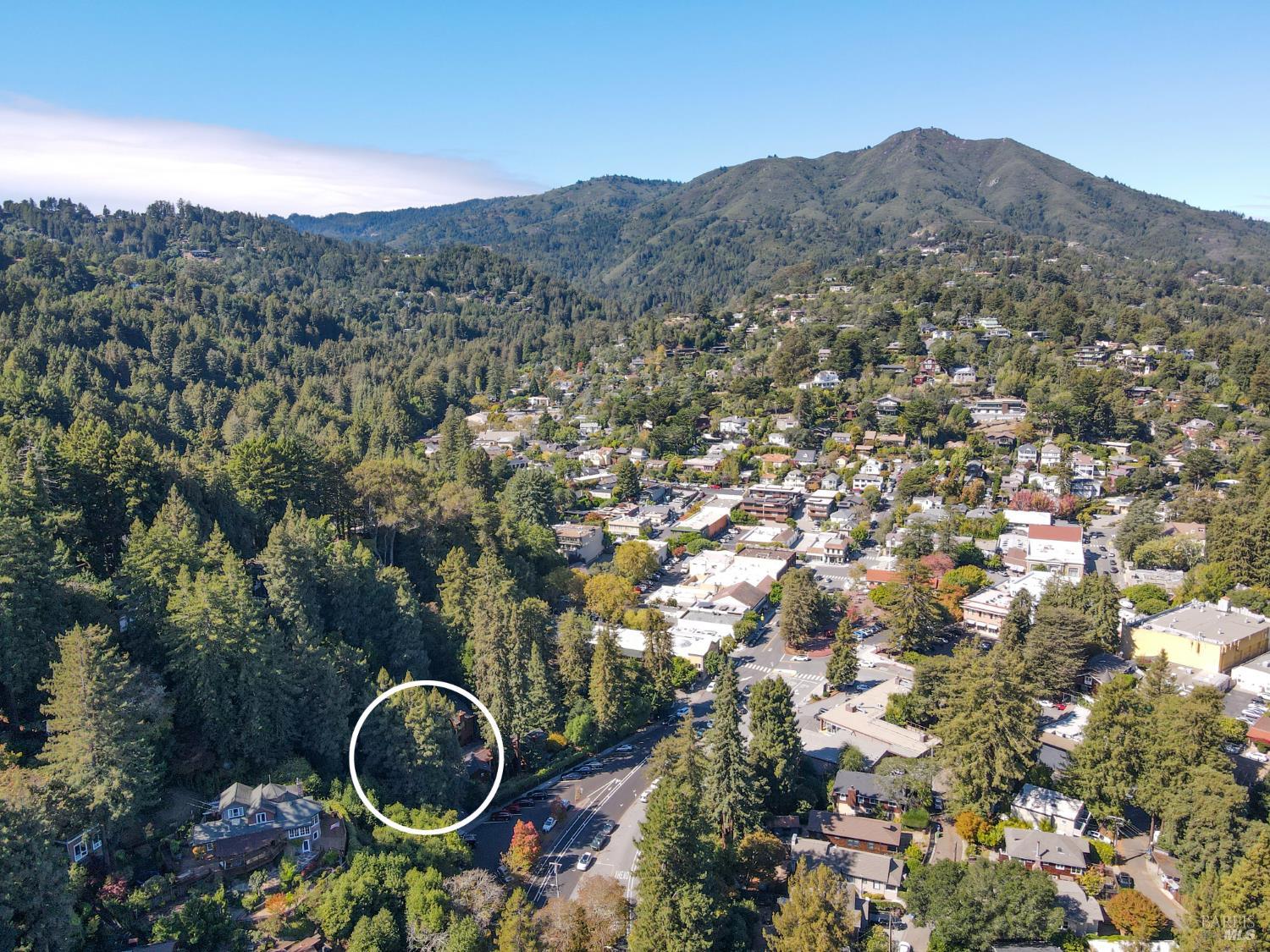 48 Miller Ave
