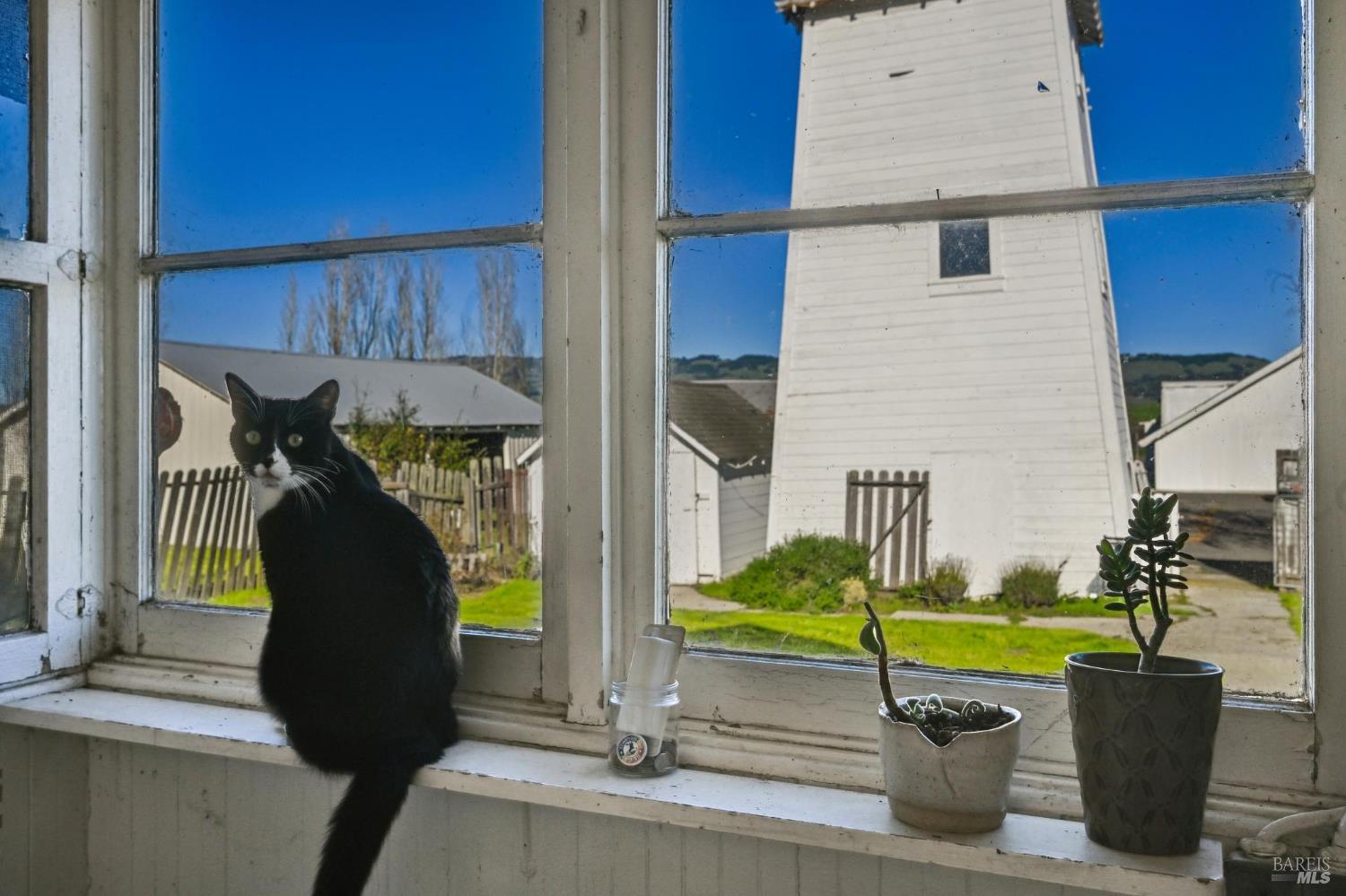 3957 Lakeville Highway