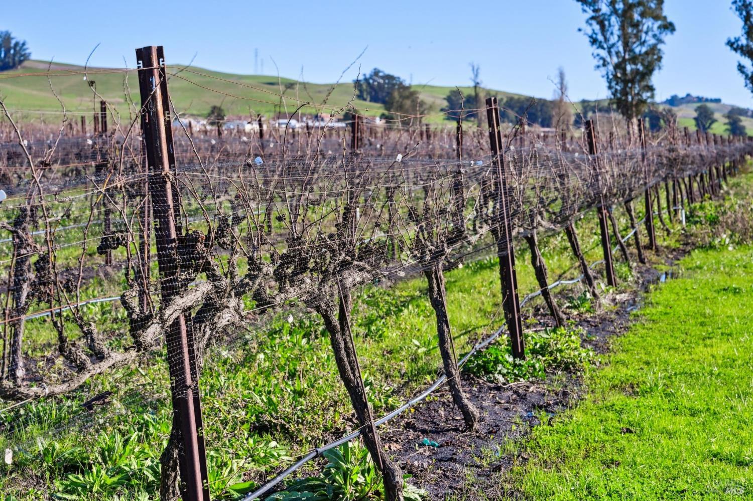 3957 Lakeville Highway