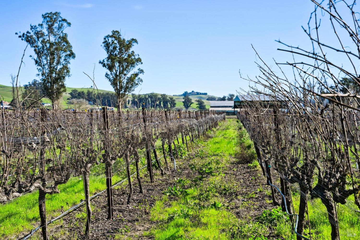 3957 Lakeville Highway