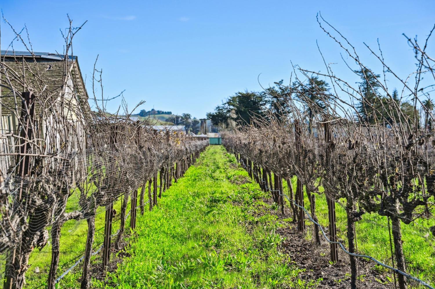 3957 Lakeville Highway