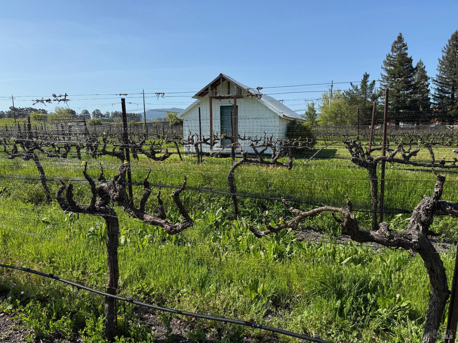 3957 Lakeville Highway