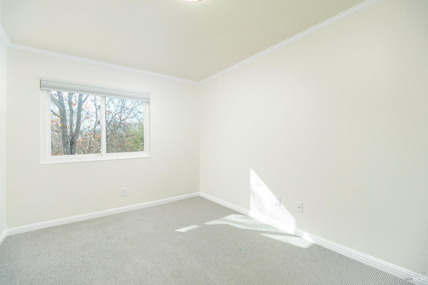 1544 Center Road Unit: #91