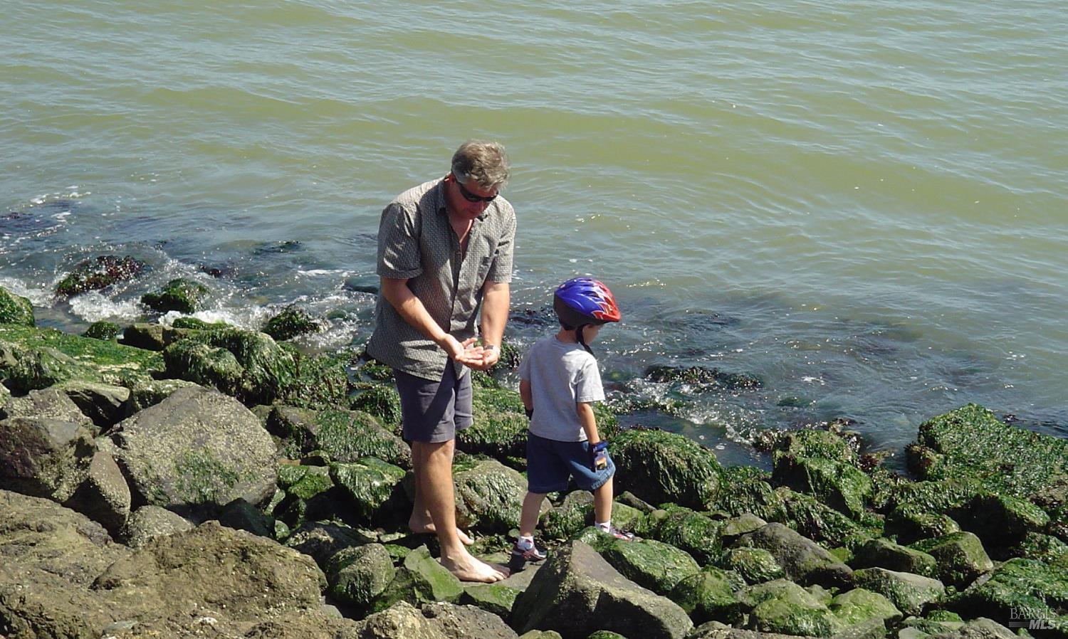 1882 Centro West Street