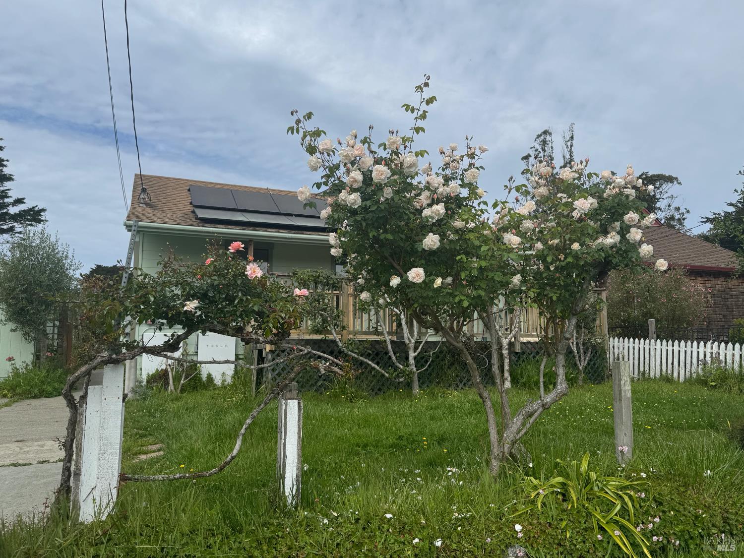 39 Carrie Street