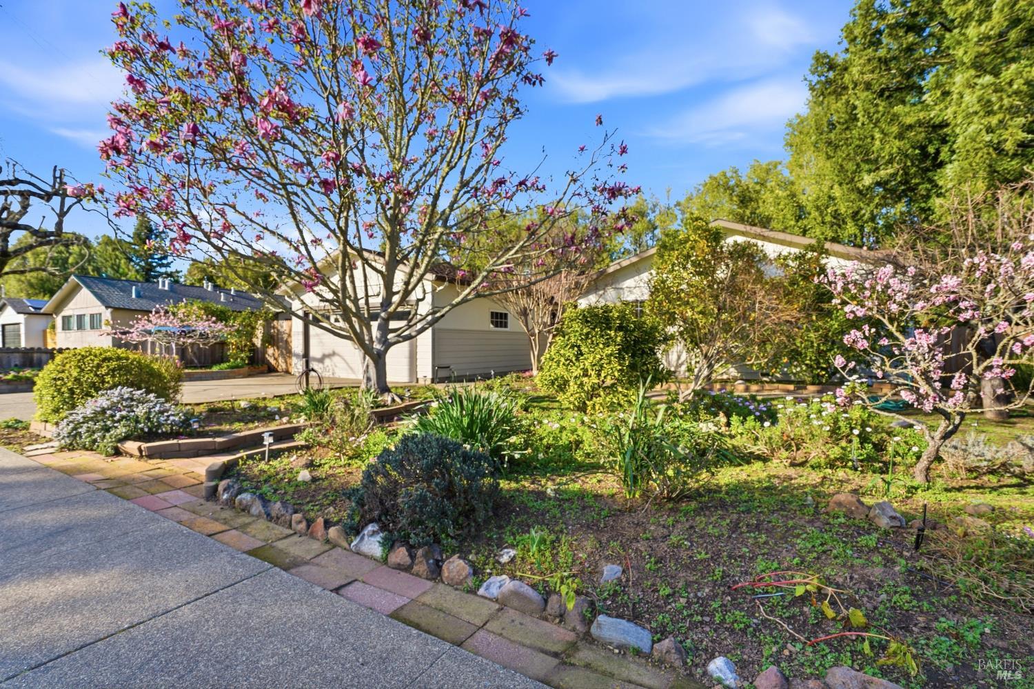 440 Calle De La Mesa