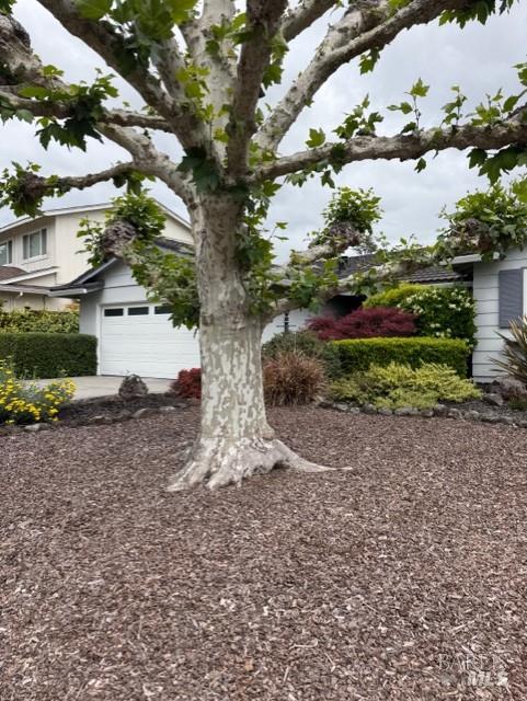 48 Clemente Court