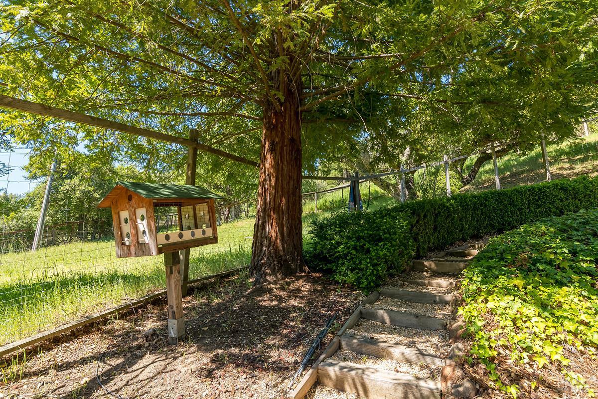 2554 Vineyard Road