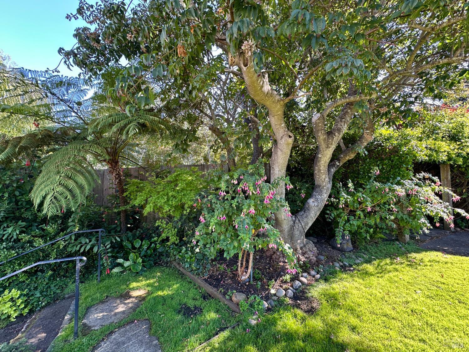30 Walnut Avenue