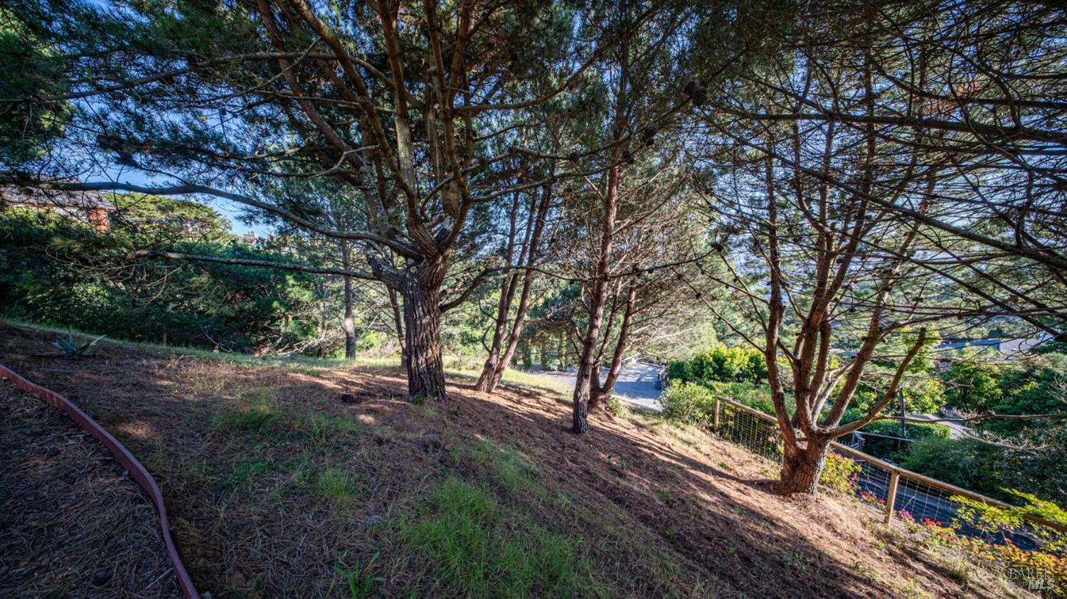 23 Venado Drive