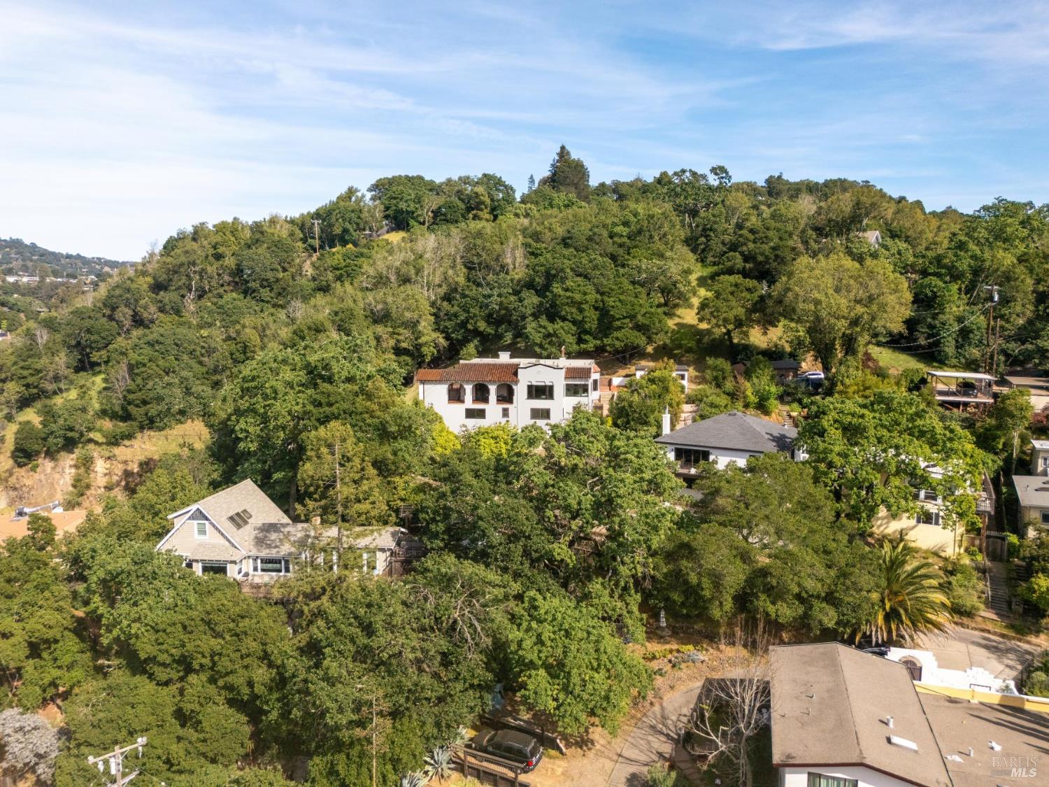 88 Lincoln Park