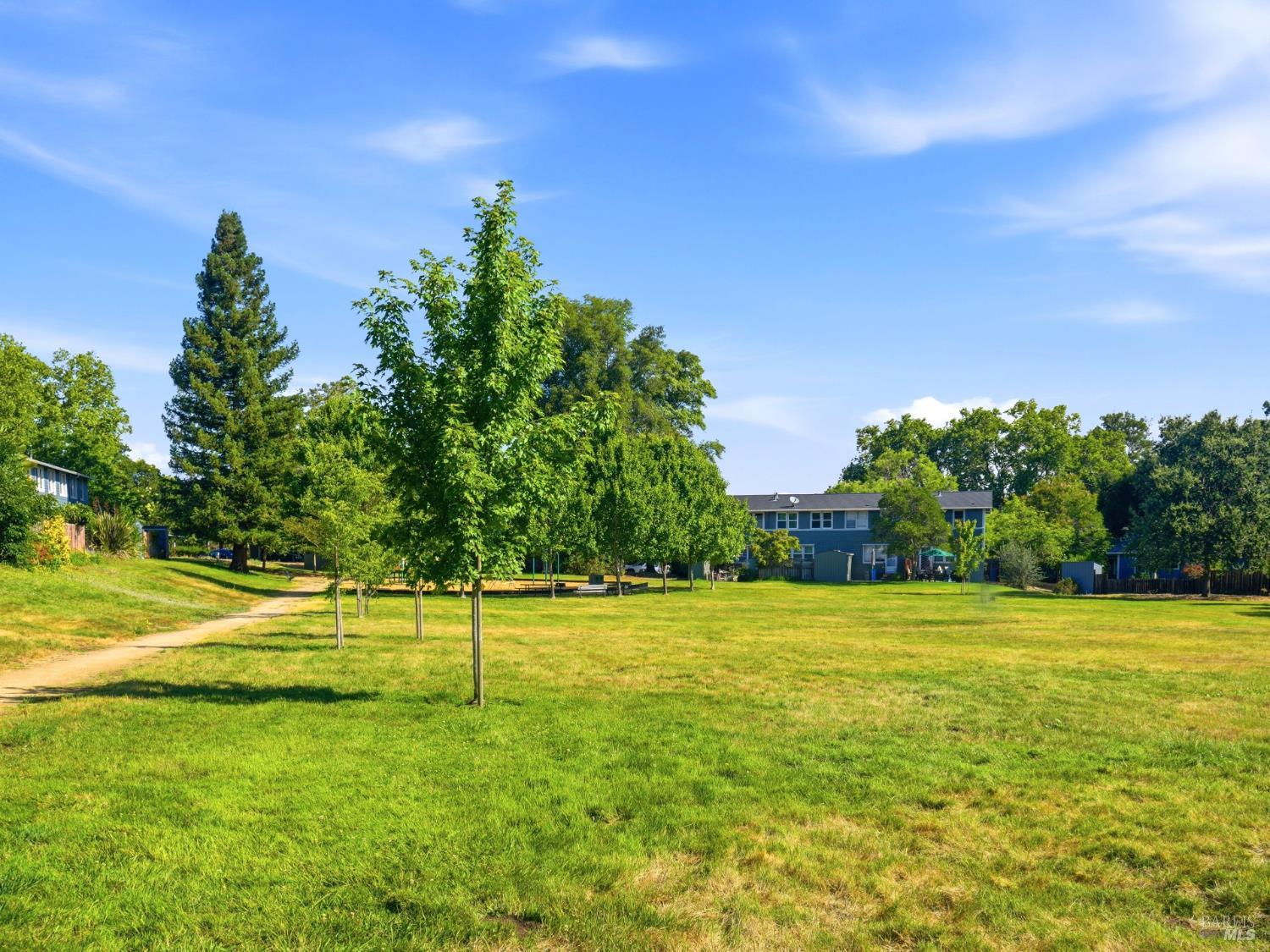 20 Livingston Court