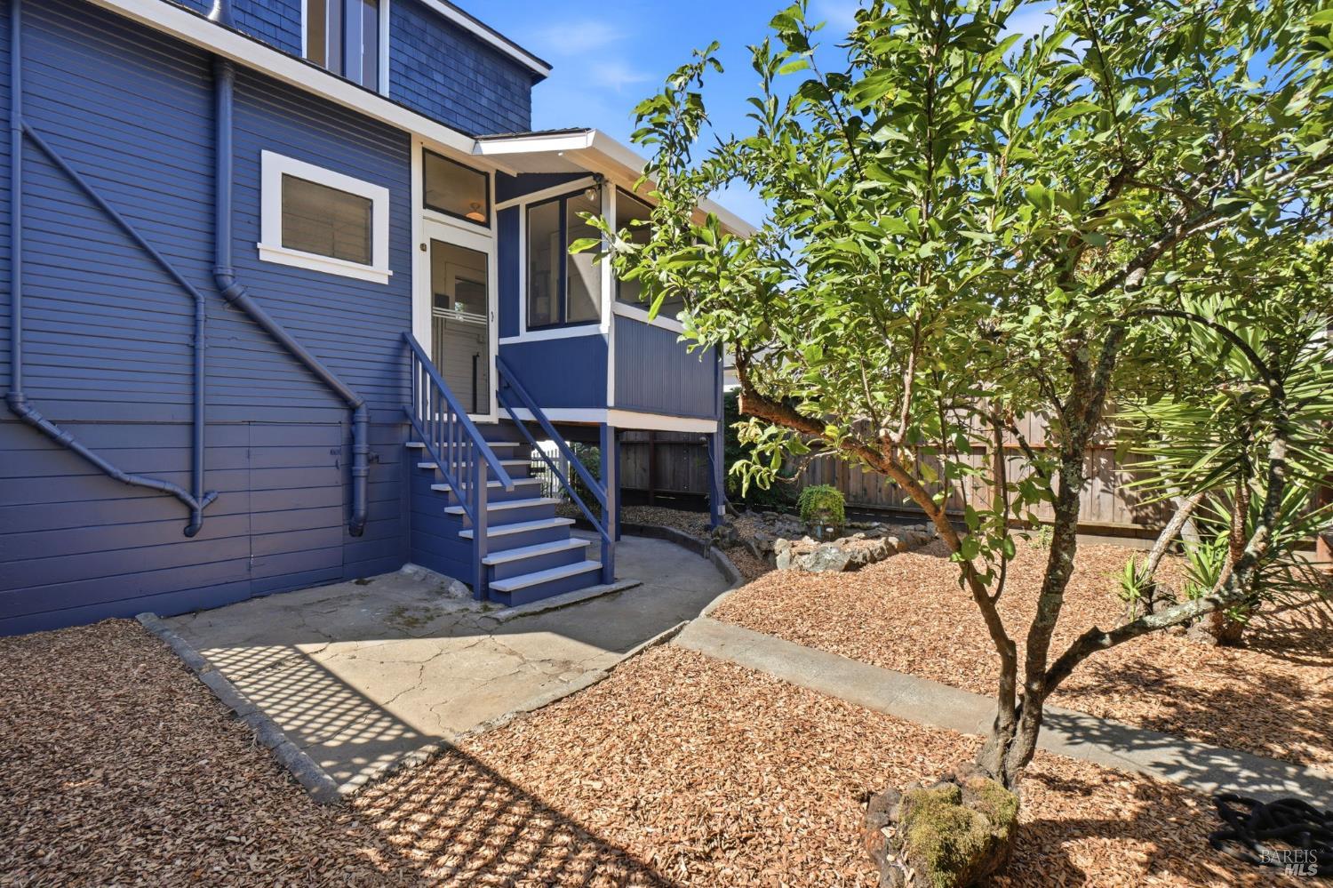 12 Tamalpais Avenue
