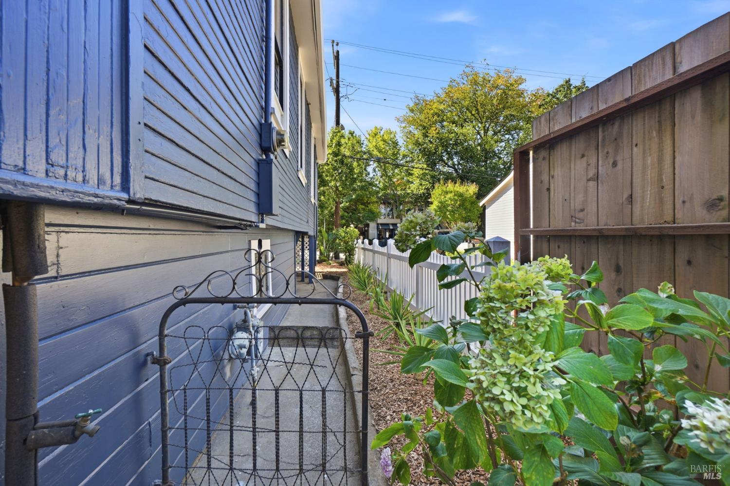 12 Tamalpais Avenue