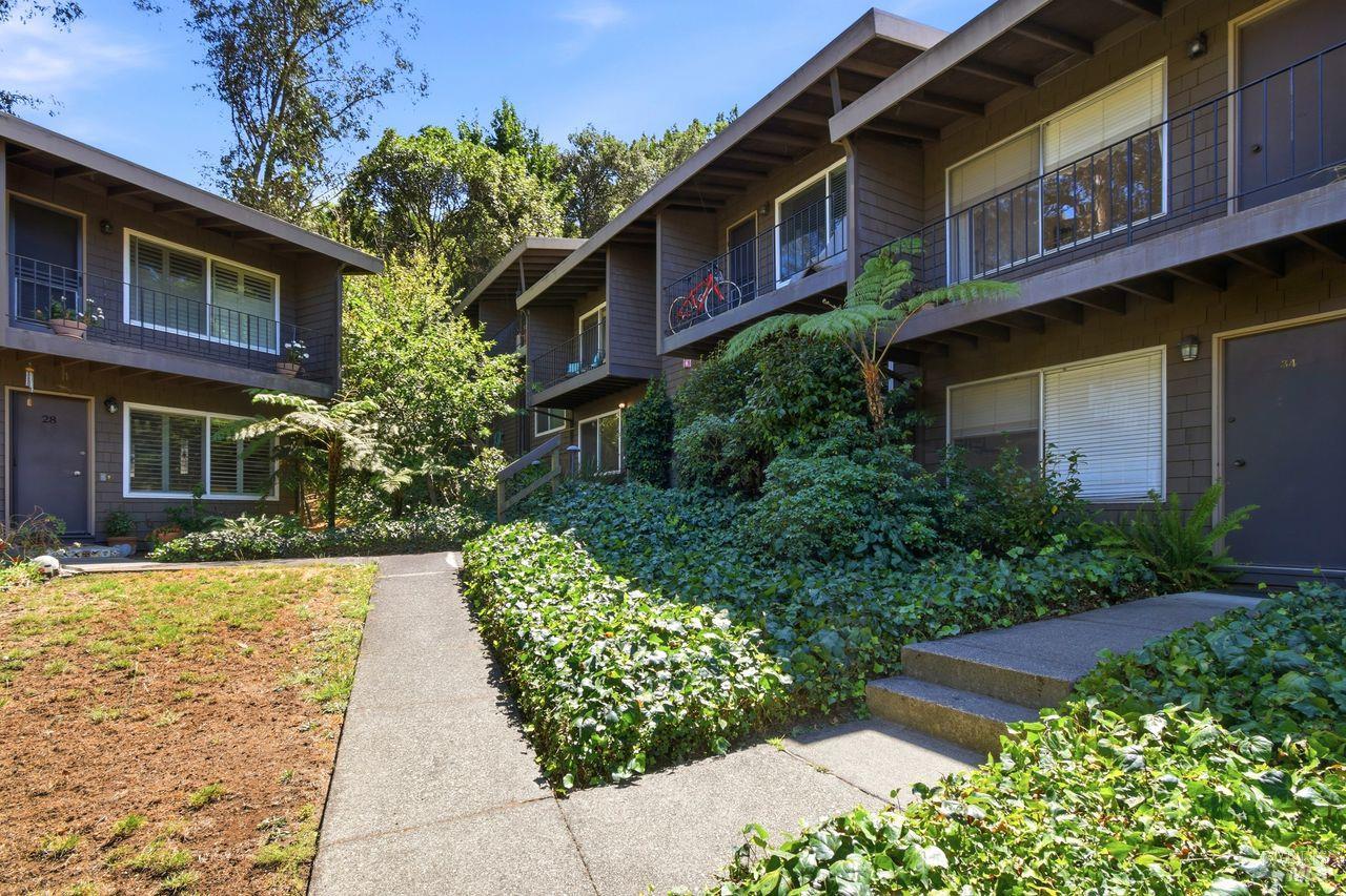 1411 Casa Buena Drive Unit: #36