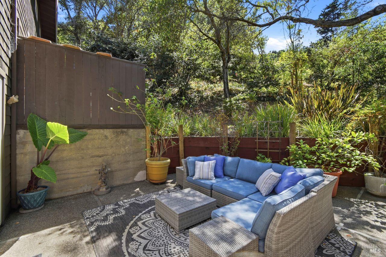 1411 Casa Buena Drive Unit: #36