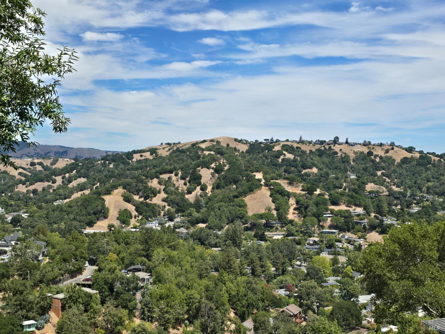 38 Redwood Road