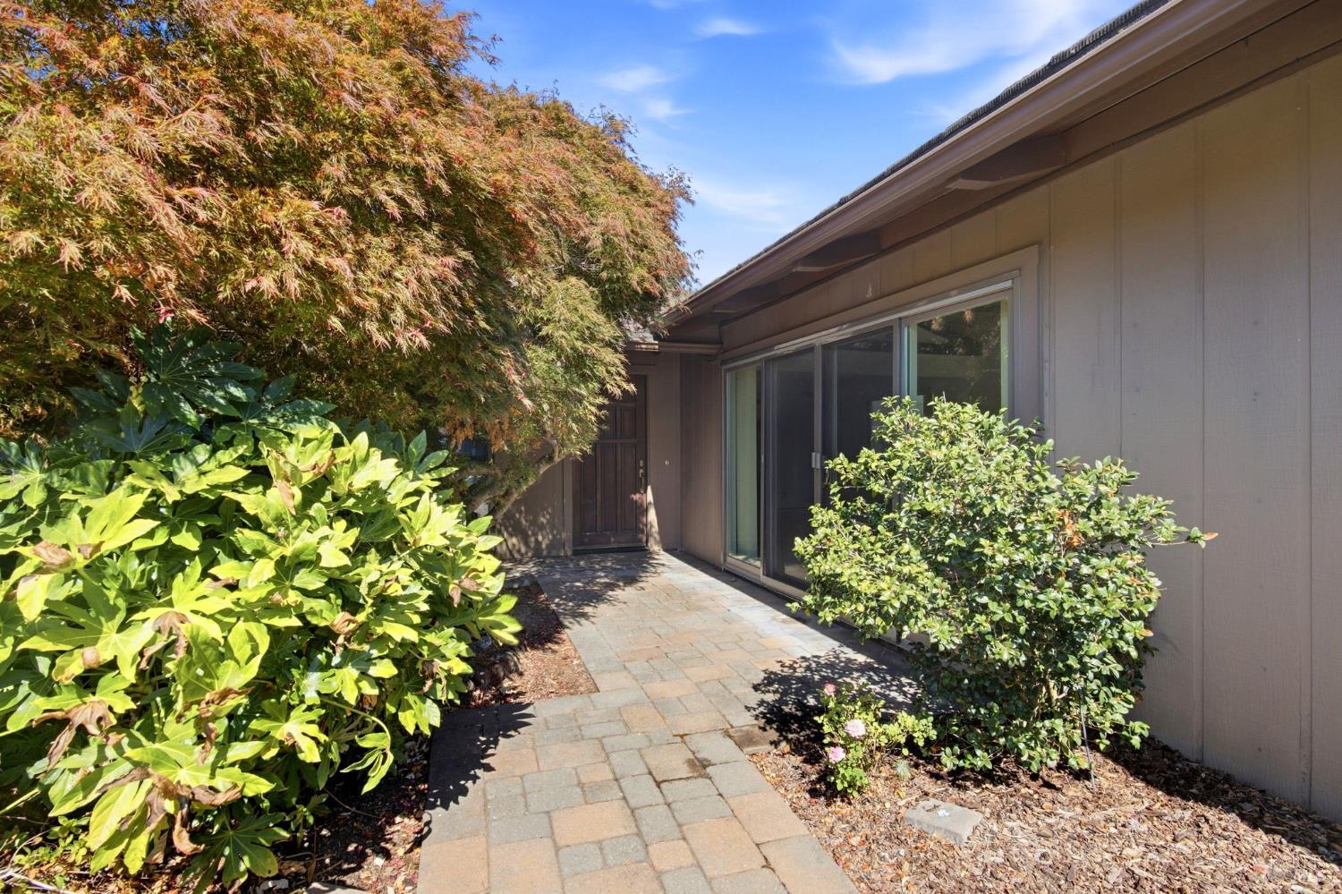 59 Mount Muir Court