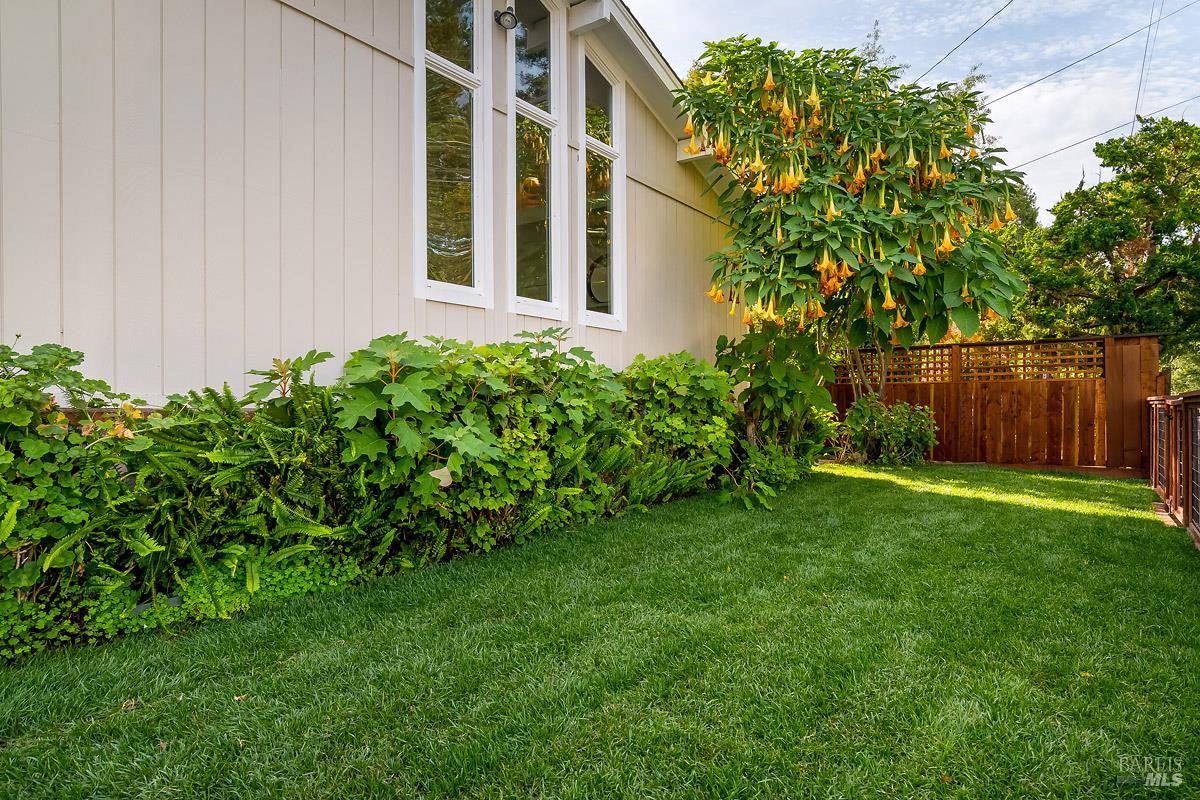 53 Florence Avenue