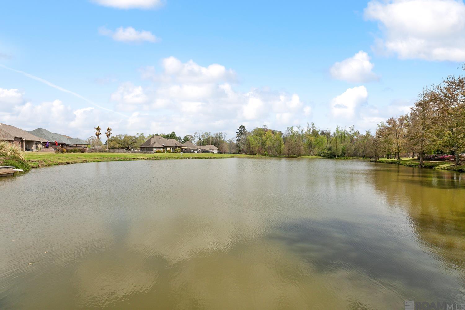 13098 Moss Pointe Dr