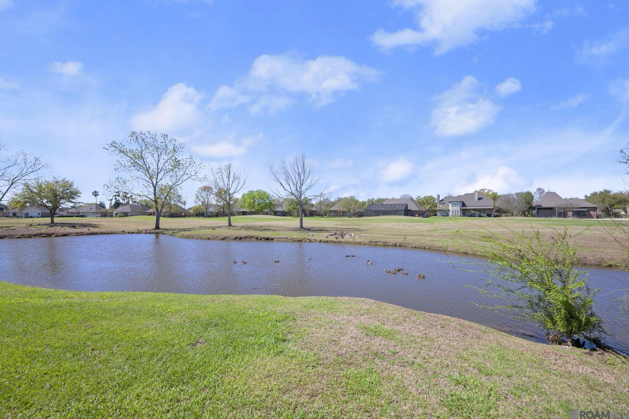 40246 Dove Estates Ct
