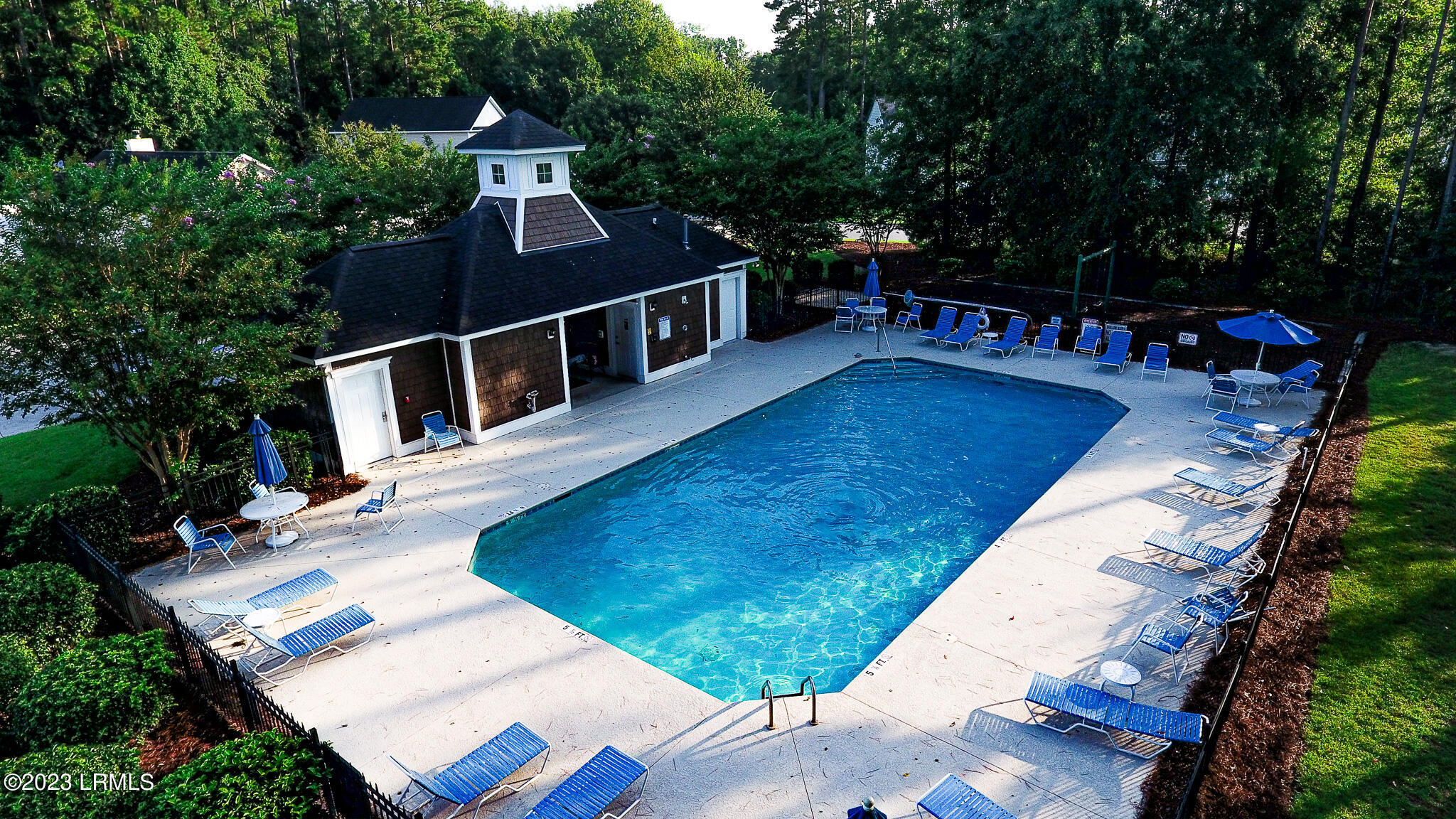 138 Scarlet Oak