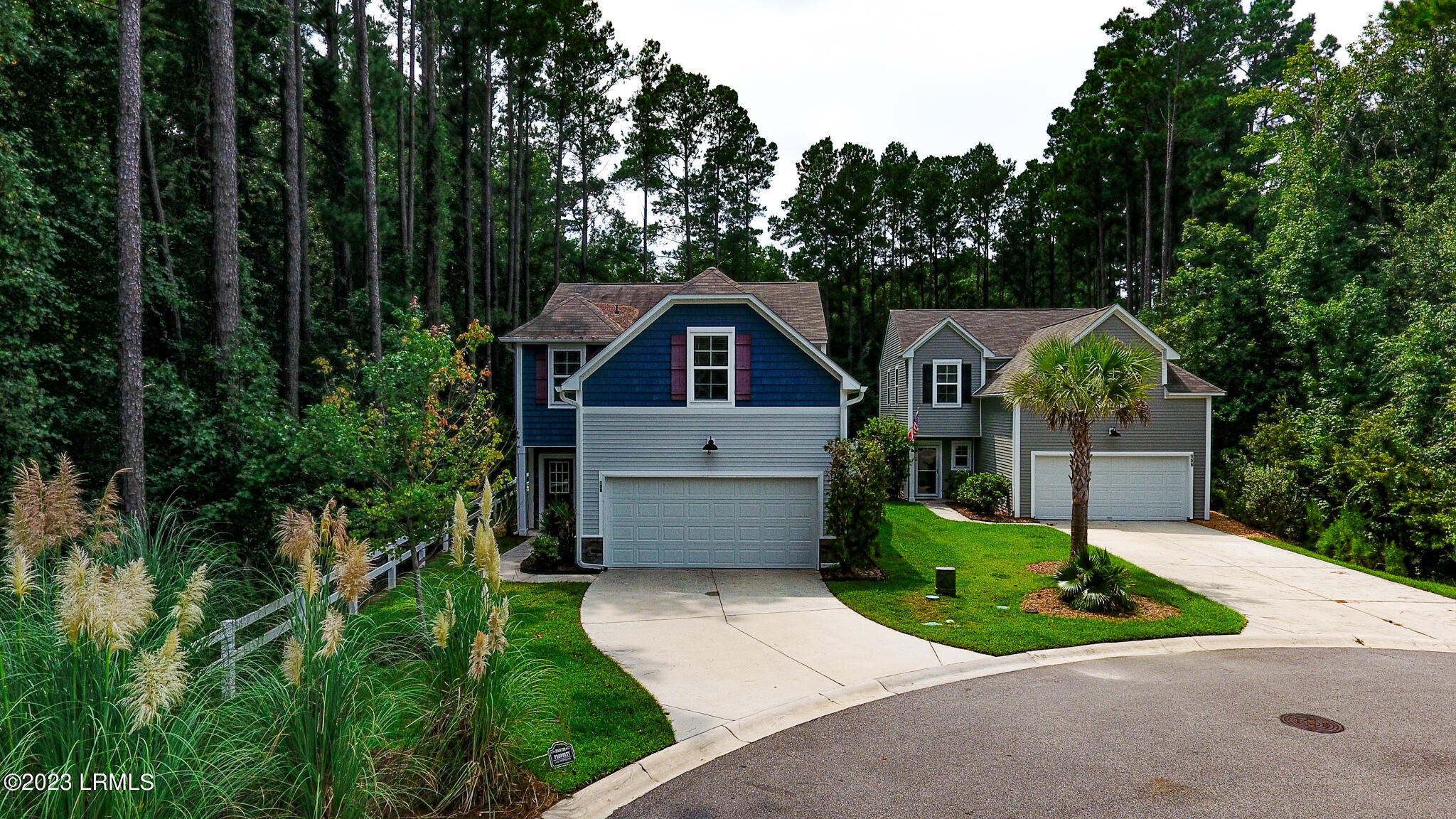 138 Scarlet Oak
