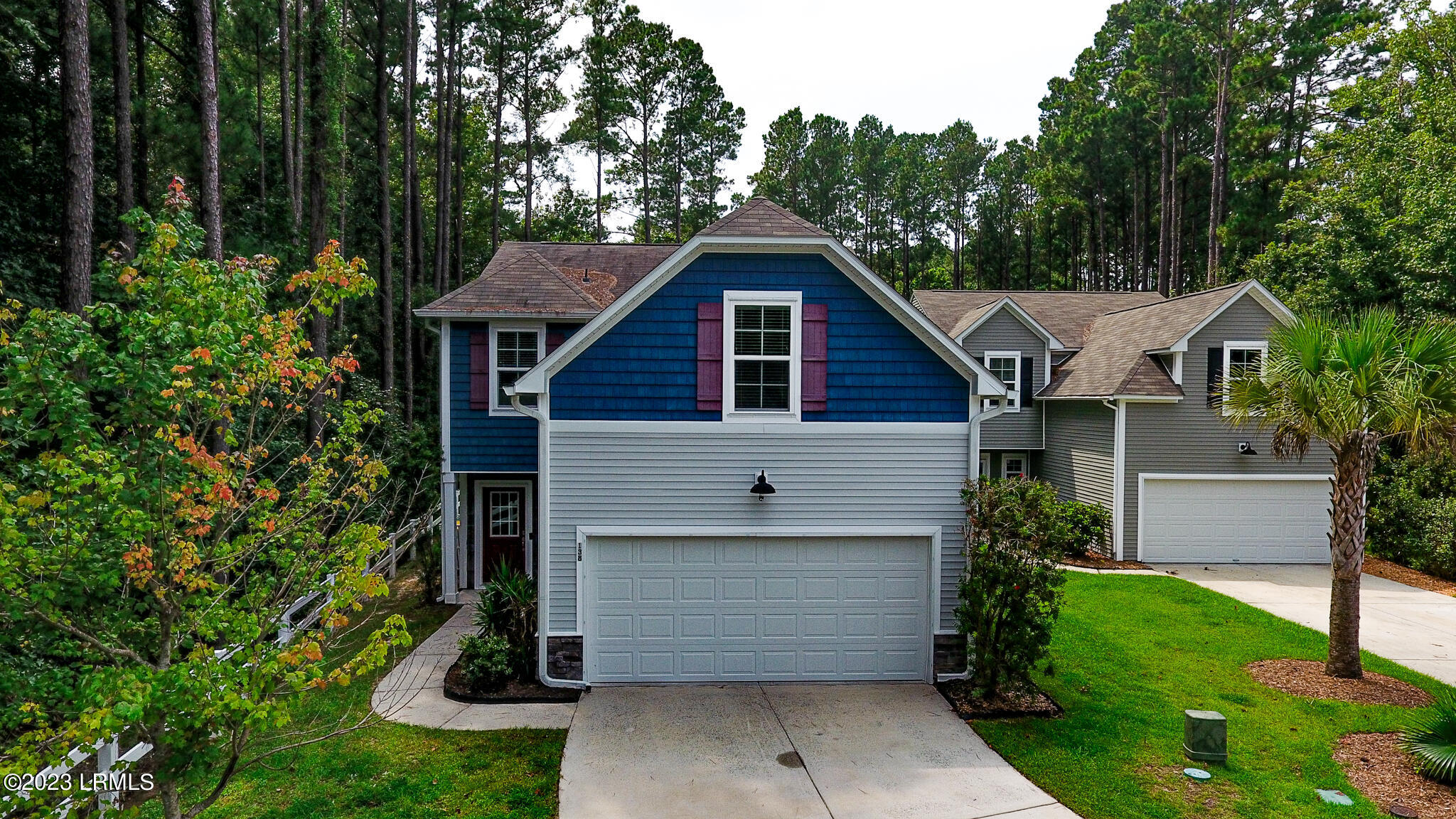 138 Scarlet Oak
