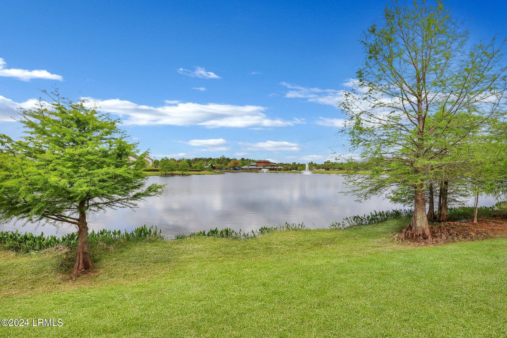 207 Dillard Mill Drive