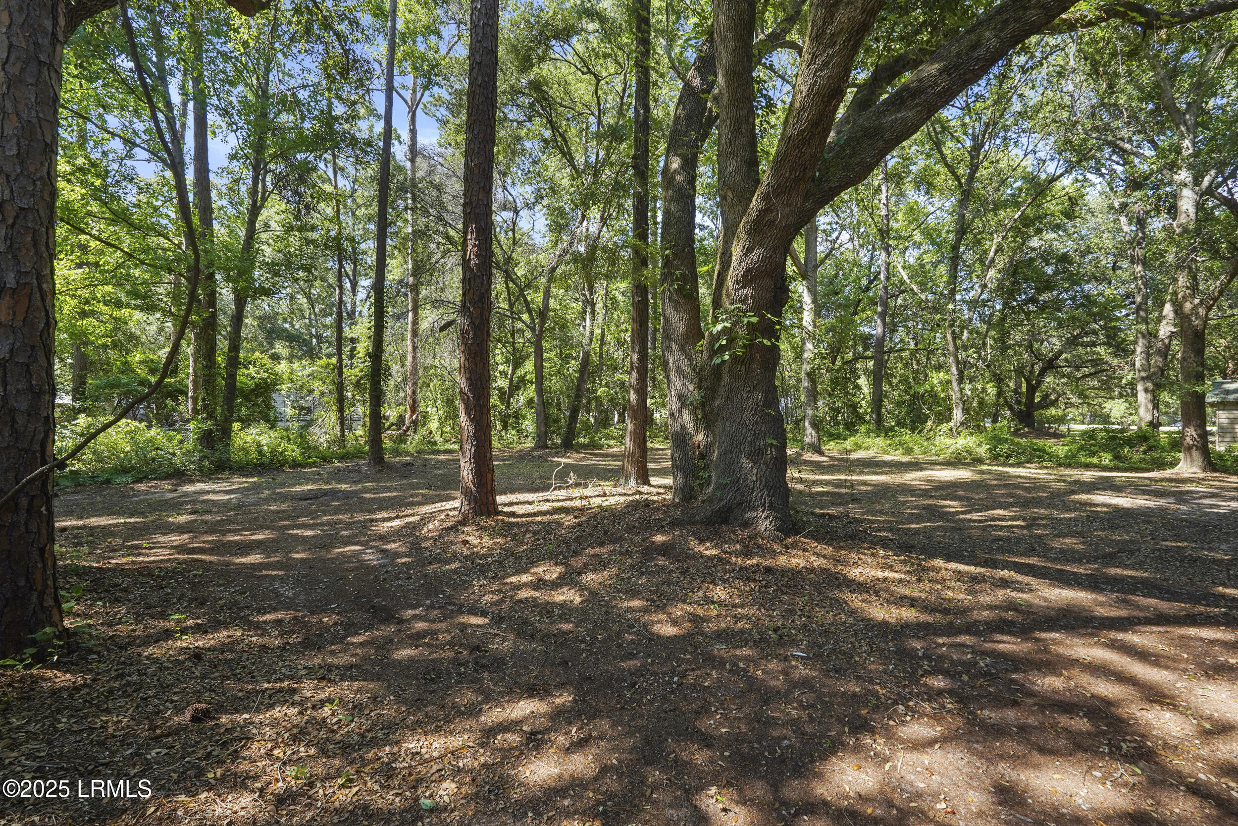 96 Pine Forest Loop