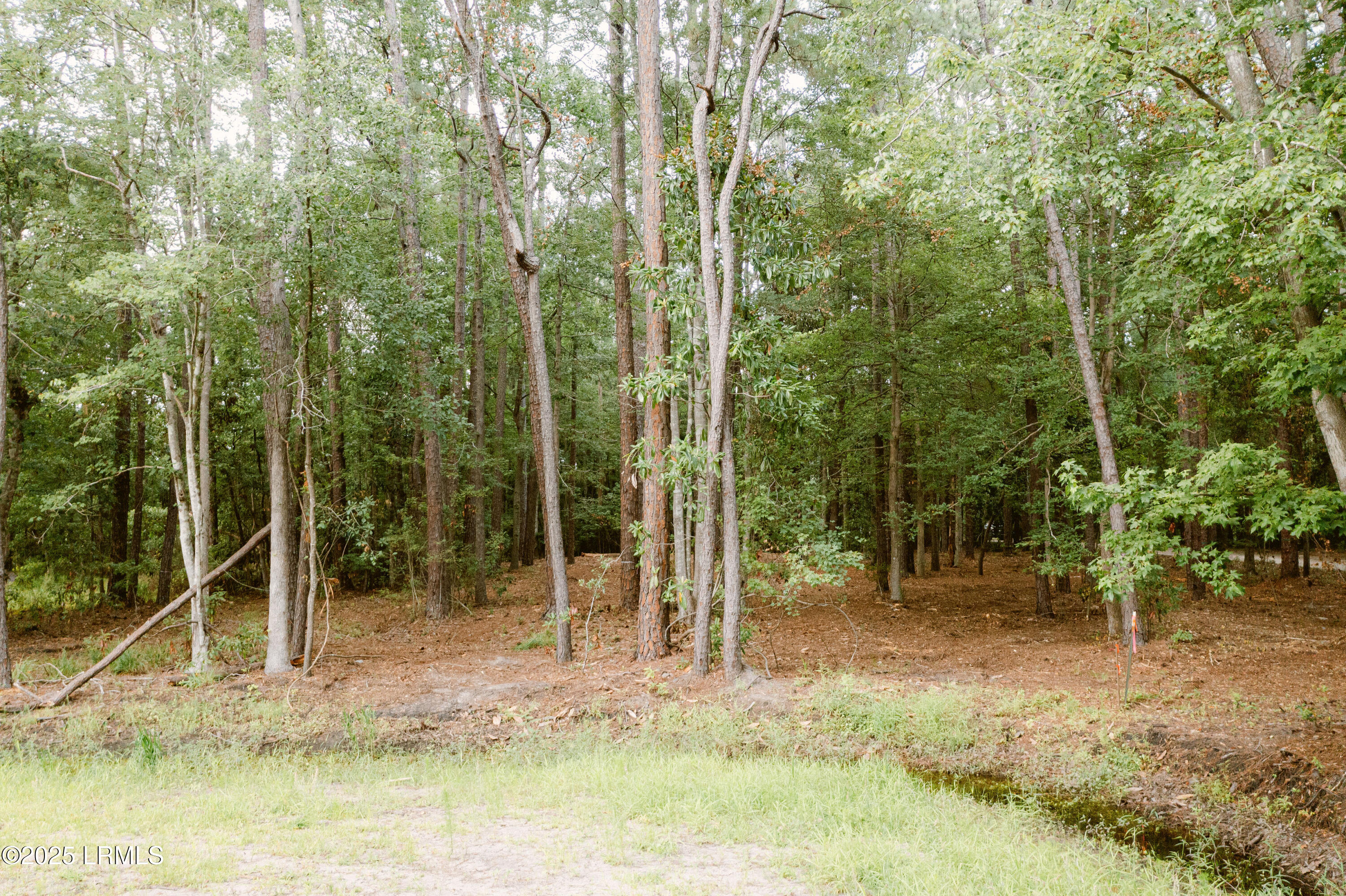 50 Stillwell Road
