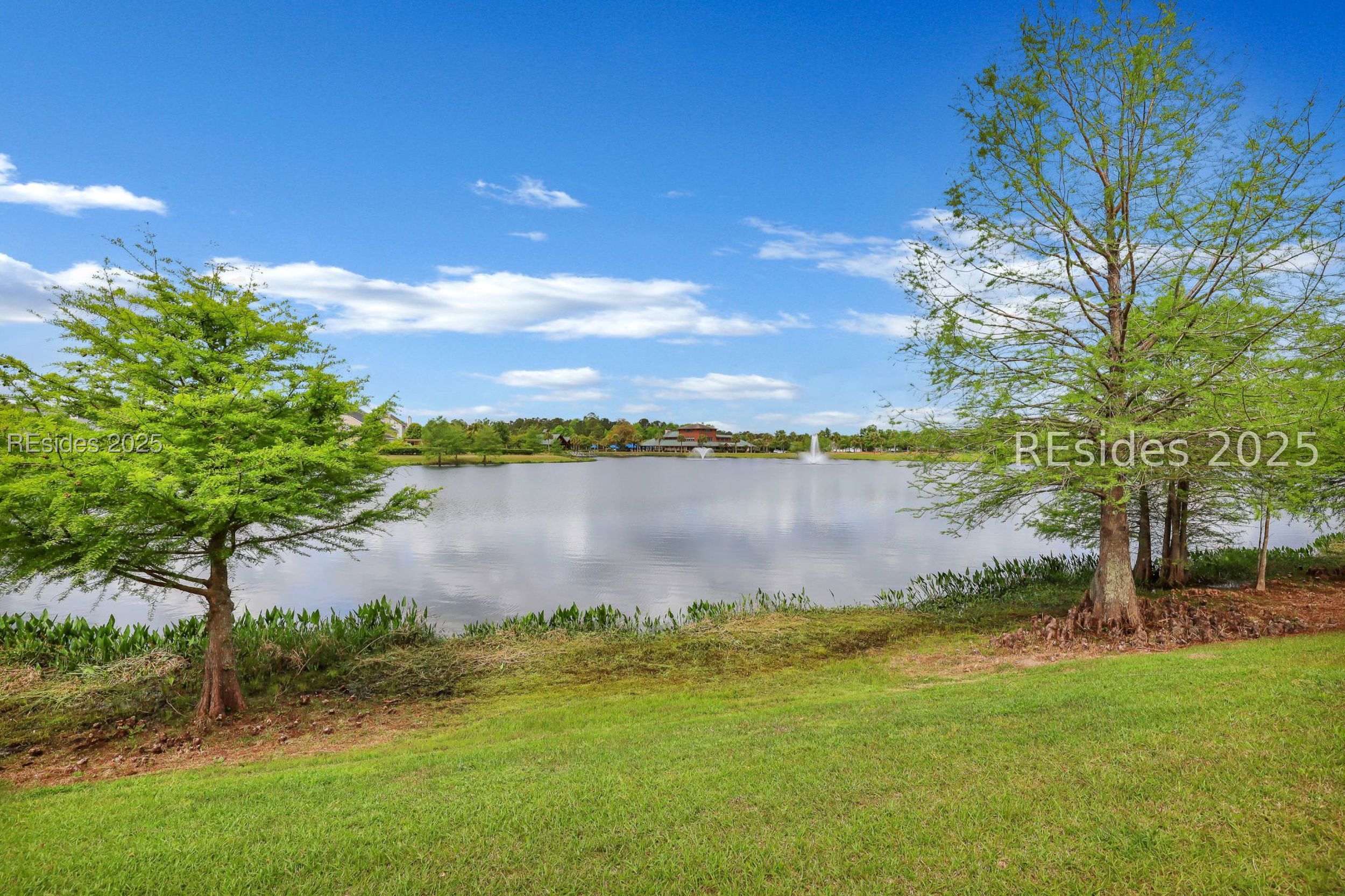 223 Dillard Mill Drive