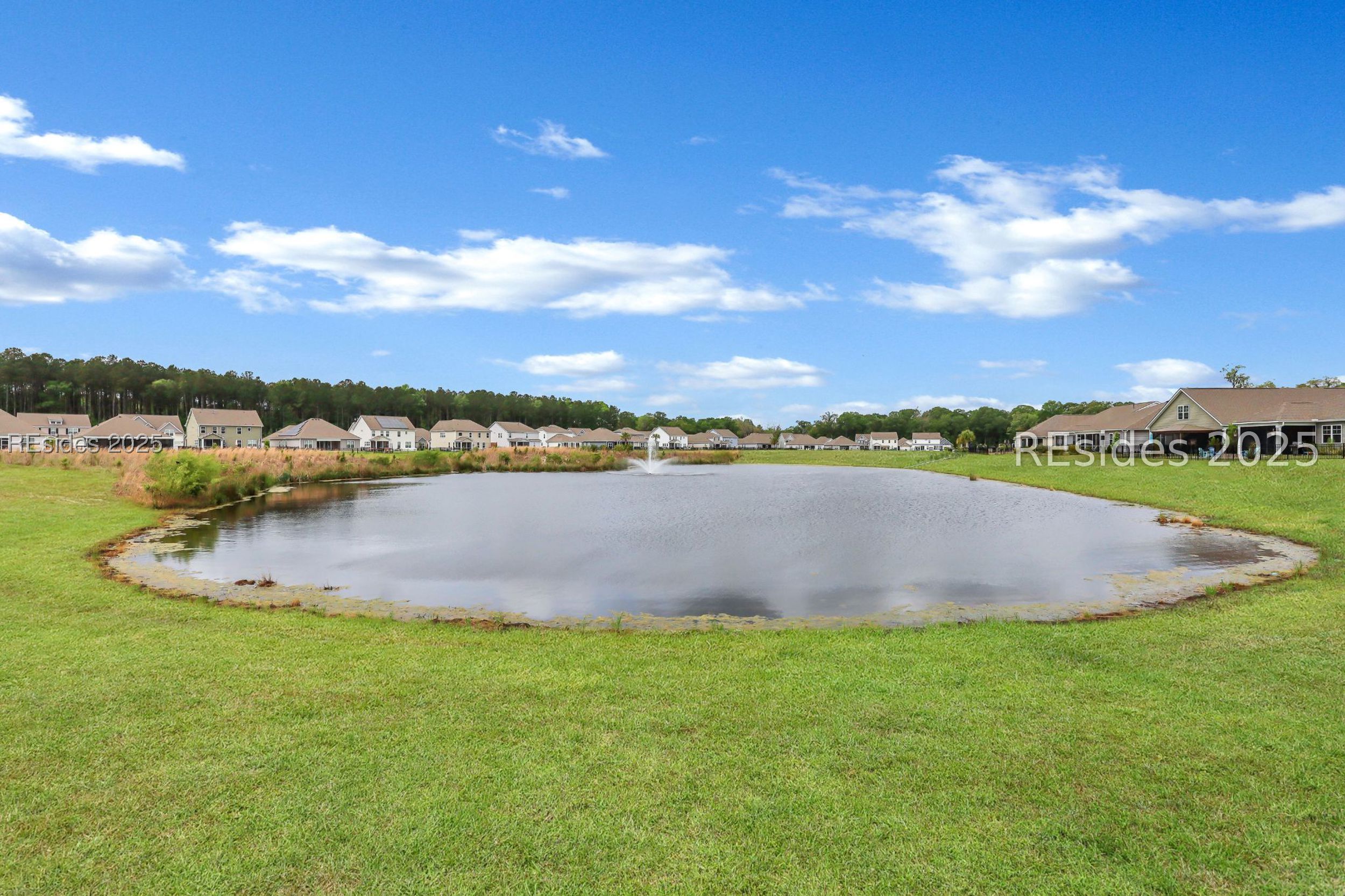 223 Dillard Mill Drive