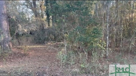 0 E OGLETHORPE Highway