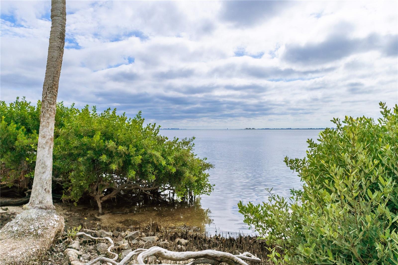 55 TIDY ISLAND BLVD