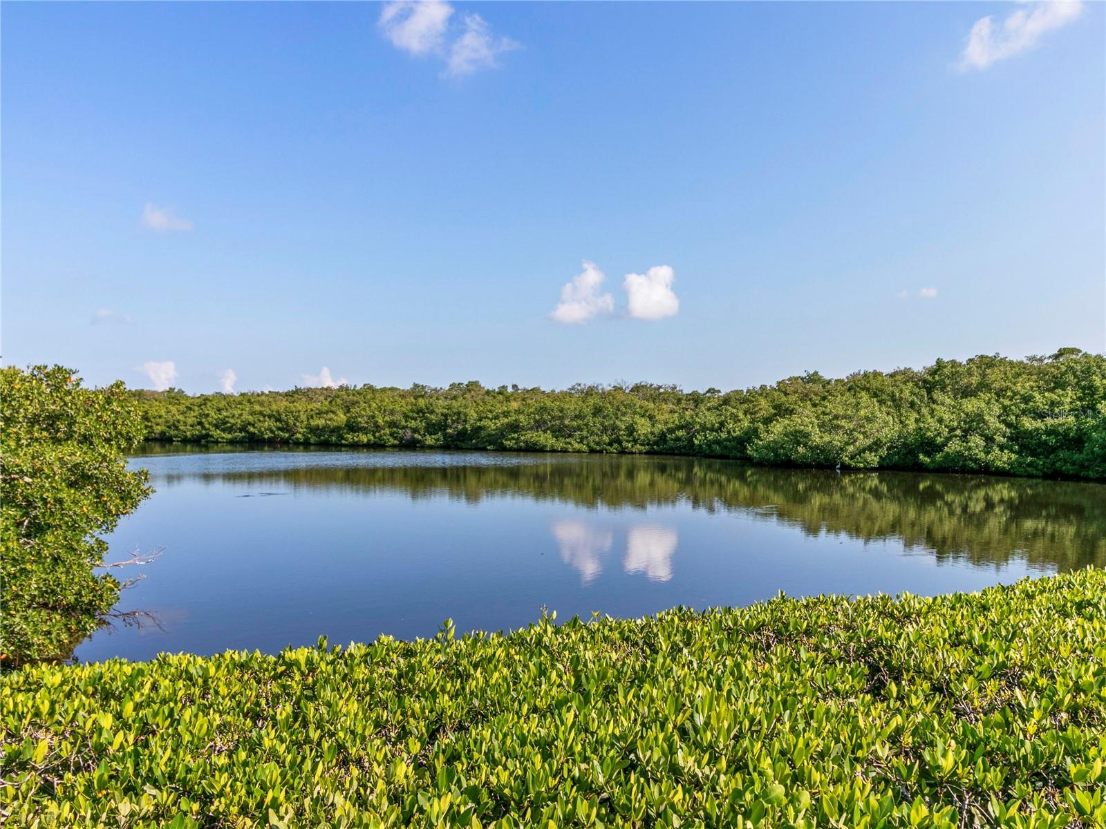 110 TIDY ISLAND BLVD