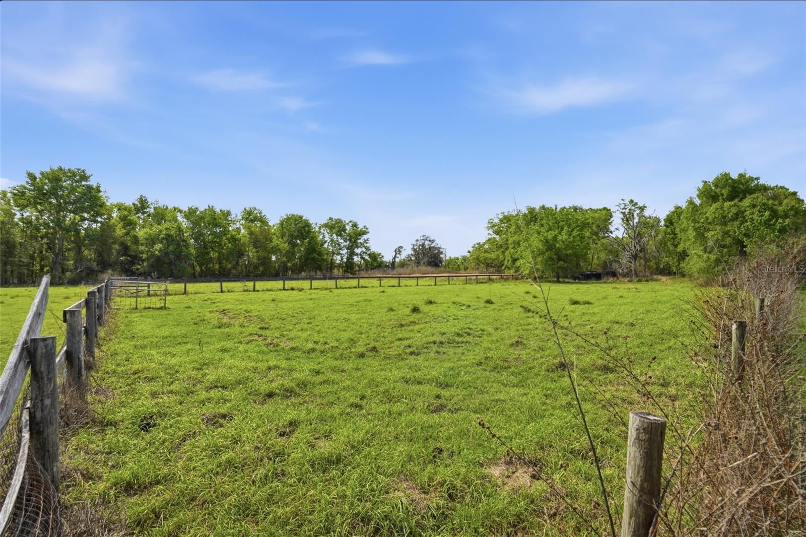 32400 TAYLOR GRADE RD