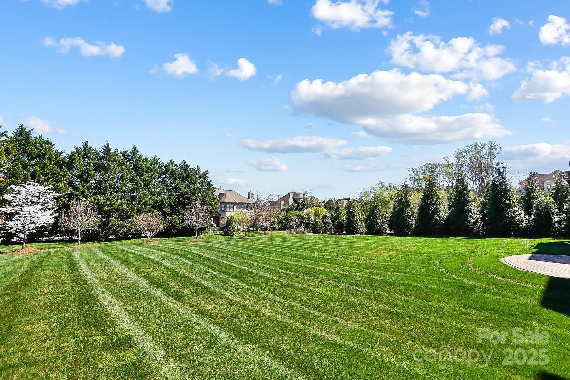 1311 Sunnys Halo Lane