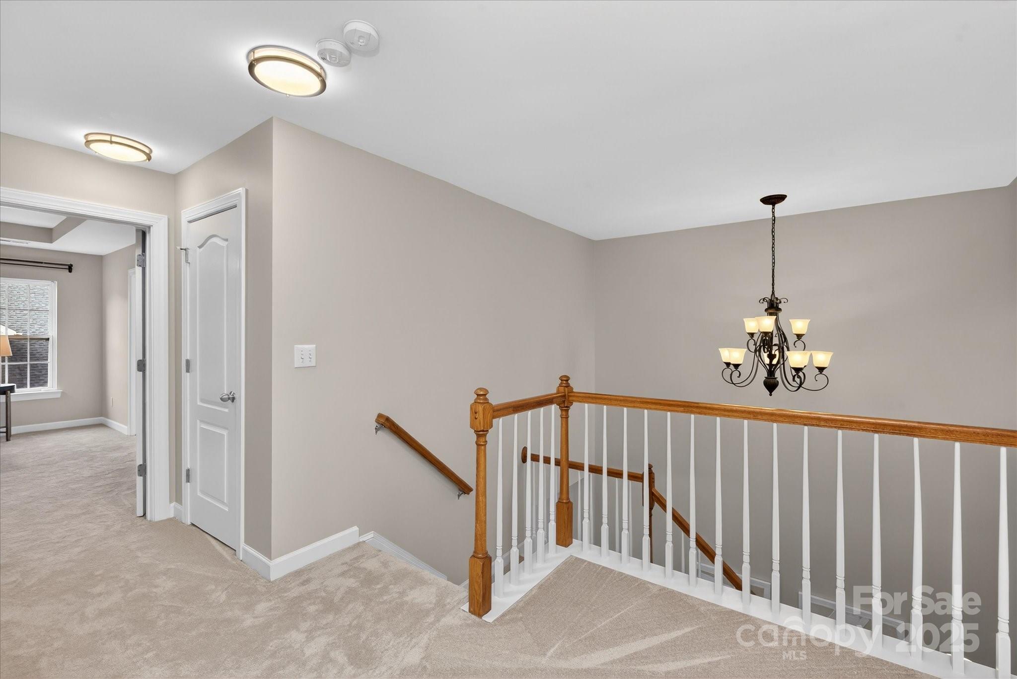 11008 Burnt Leather Lane